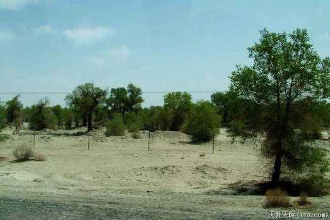 穿越塔克拉玛干(上),图二十二