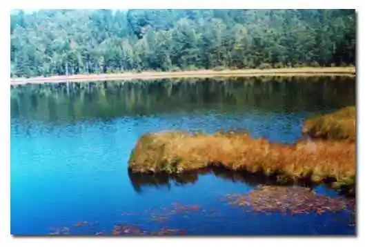 一人独行阿尔山