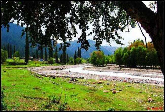 绿色伊犁的避暑胜地-厍尔德宁,图二