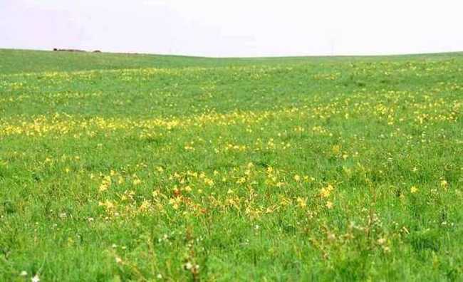 阿尔山,永远的回忆,图二