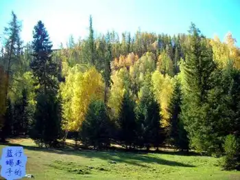 新疆圆舞曲7,图二十五