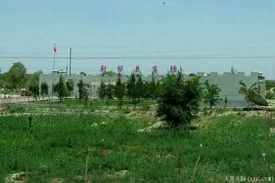 穿越塔克拉玛干（中）