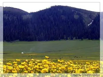 起飞----着陆《赛里木湖》,图六