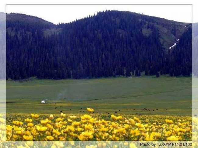 起飞----着陆《赛里木湖》,图六