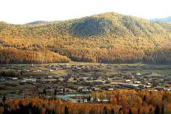 新疆行--禾木秋色,图二