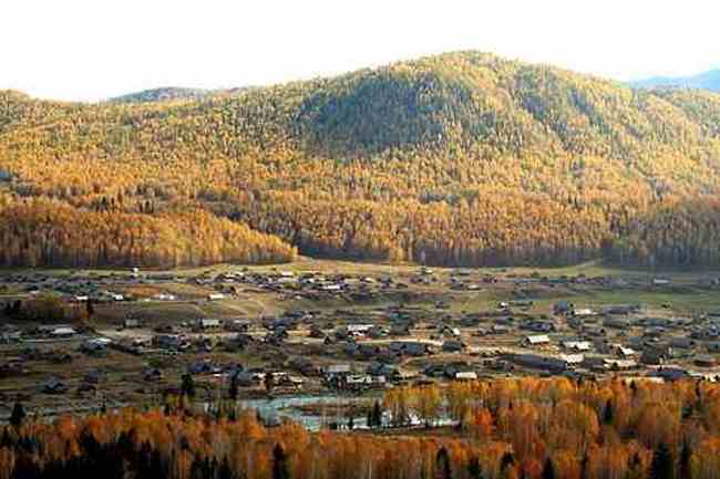 新疆行--禾木秋色,圖二