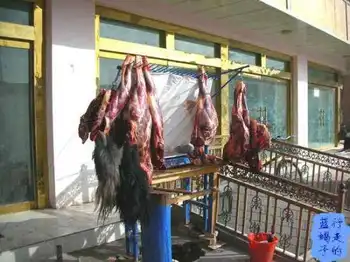 新疆圆舞曲10,图六