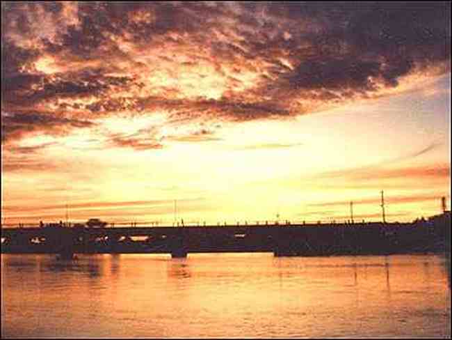 新疆乌伦古湖　风幽幽吹，天鹅翩翩舞,图二