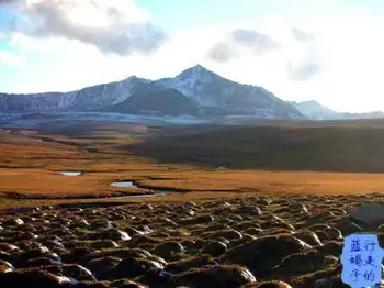 新疆圆舞曲4,图十三