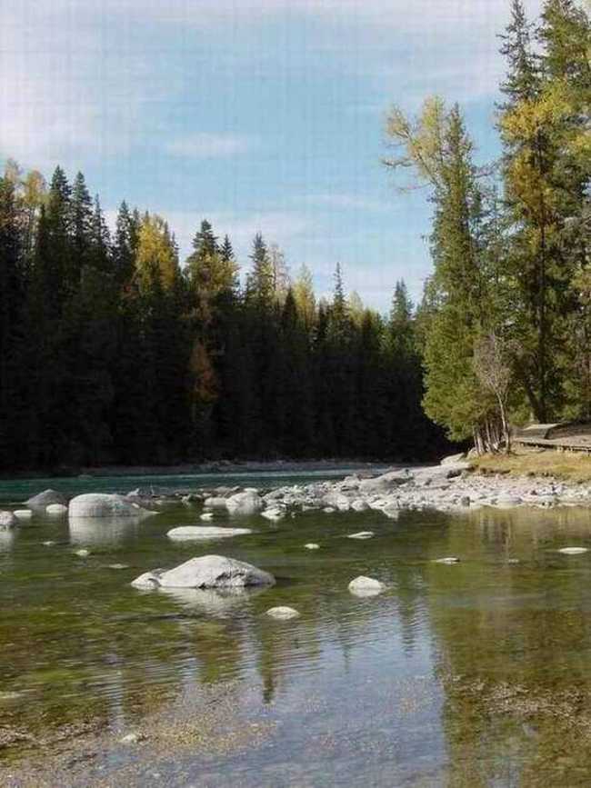 新疆－－喀纳斯湖,图七