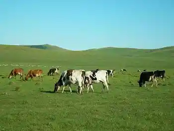 到青葱草原策马扬鞭,图十一