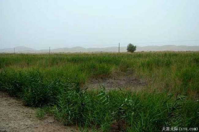 穿越塔克拉玛干（下）,图二十五