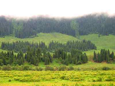 穿越天山,图四