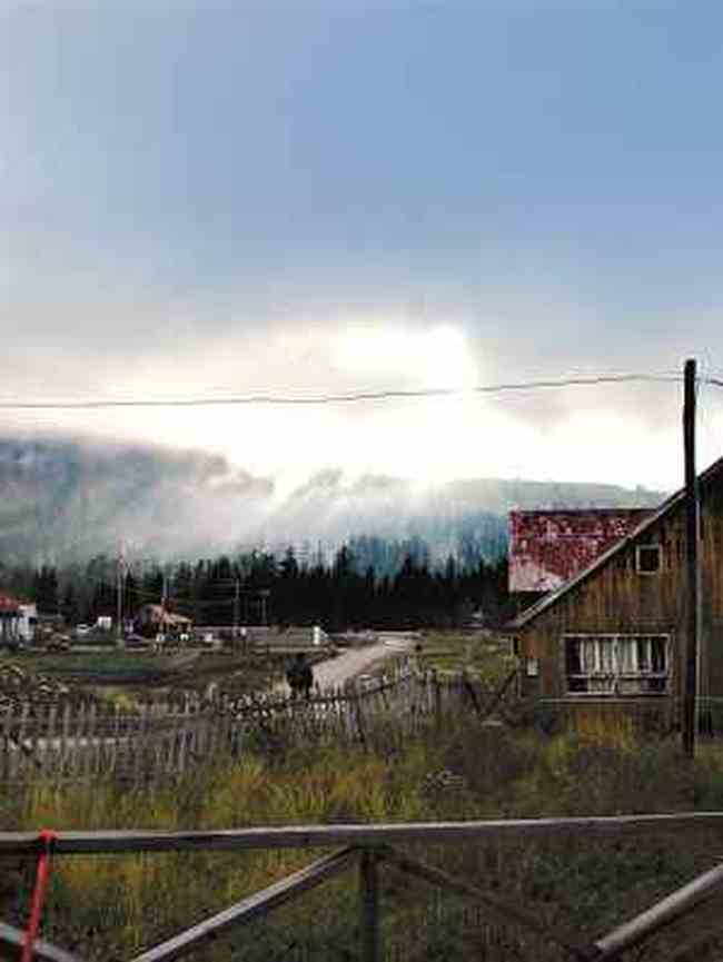 天高云淡彩叶飘飞——秋日的新疆,图三