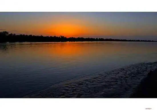 陶醉在塔里木河畔