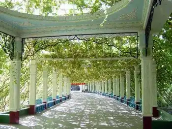 迷人的葡萄沟---新疆吐鲁番,图一