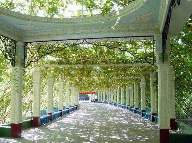 迷人的葡萄沟---新疆吐鲁番,图一