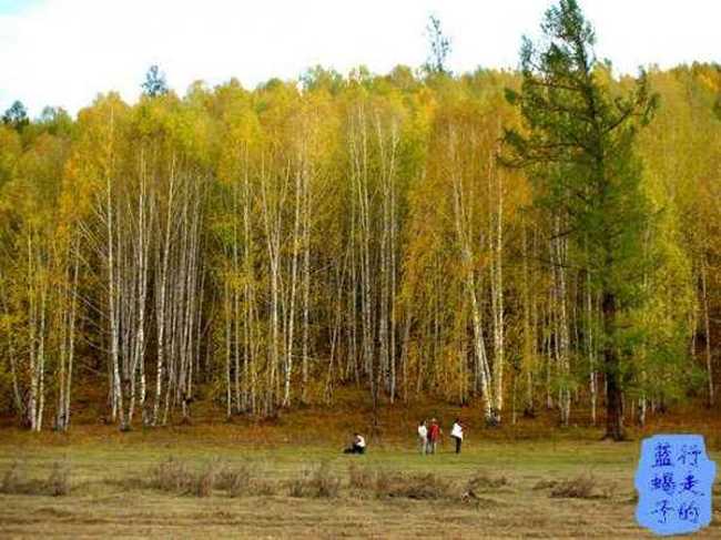 新疆圆舞曲3,图二