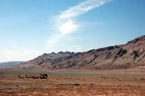 (北疆之五)吐鲁番的葡萄还没有熟