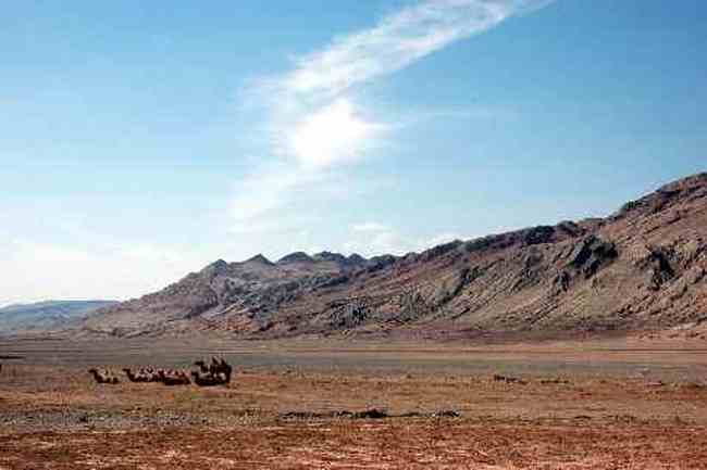 (北疆之五)吐鲁番的葡萄还没有熟,图六