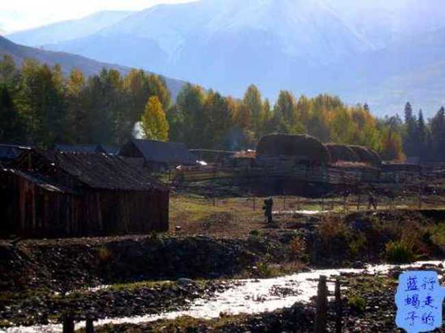 新疆圆舞曲7,图八