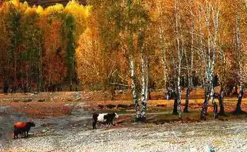 图瓦村--中国最美的古村,图四