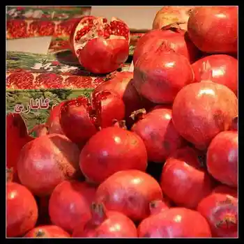 新疆：谁是谁的异乡人!,图二