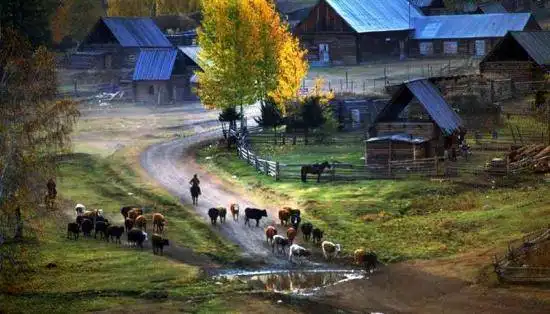 喀纳斯湖探秘!!!