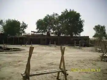 心旷神怡的罗布人村寨,图八