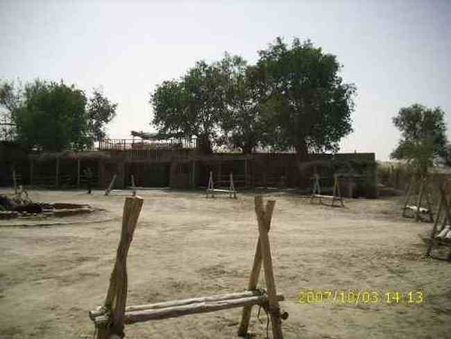 心旷神怡的罗布人村寨,图八