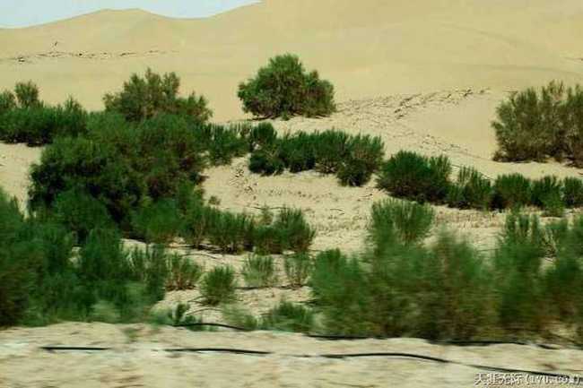 穿越塔克拉玛干（下）,图九