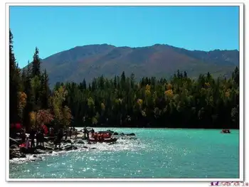 星光灿烂的喀纳斯湖,图十九