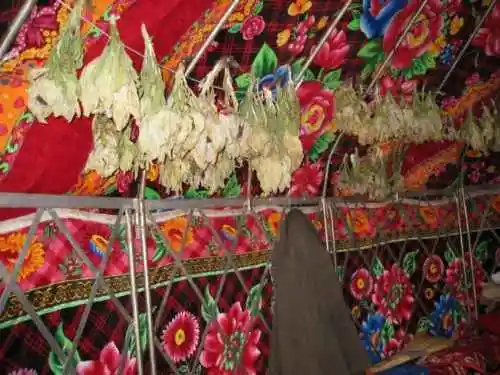 新疆，心无疆—中国新疆天山1号冰川、南山