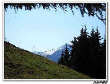 天山天池--美丽新疆游,图十六