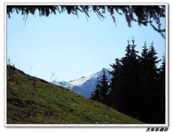 天山天池－－美丽新疆游