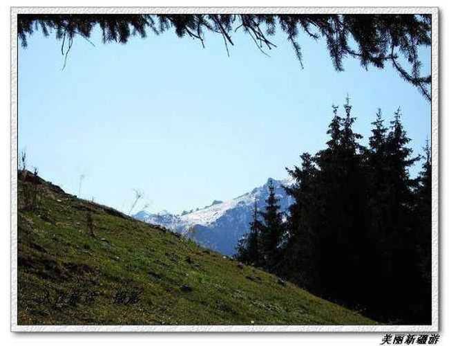 天山天池－－美丽新疆游,图十六