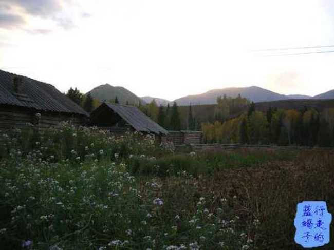 新疆圆舞曲3,图十