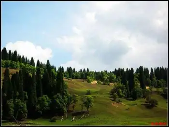 绿色伊犁的避暑胜地-厍尔德宁,图五