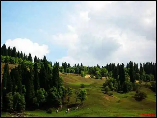 绿色伊犁的避暑胜地-厍尔德宁