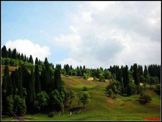 绿色伊犁的避暑胜地-厍尔德宁,图五