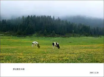 梦幻赛里木湖,图五