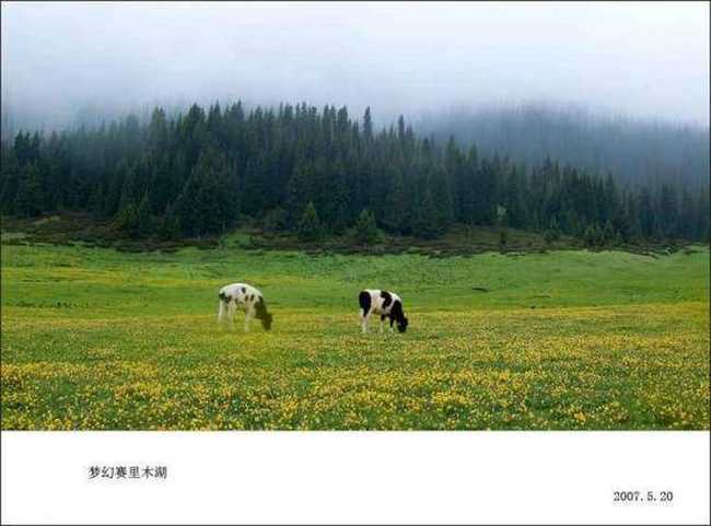 梦幻赛里木湖,图五