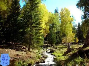 新疆圆舞曲7,图二十三