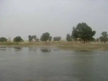 环游新疆全景纪录--罗布人村寨、博斯腾湖,图一