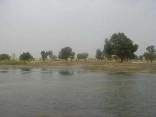 环游新疆全景纪录--罗布人村寨、博斯腾湖,图一