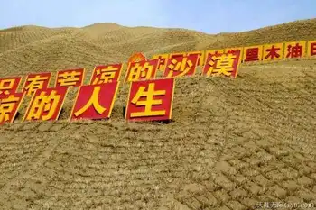 穿越塔克拉玛干（下）,图五