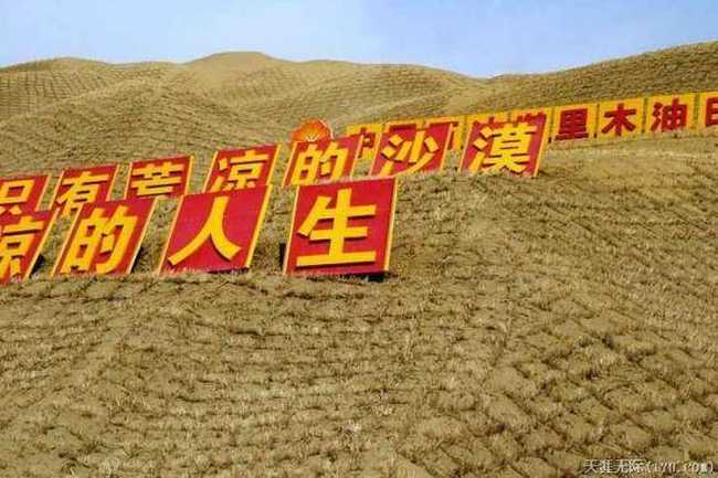 穿越塔克拉玛干（下）,图五