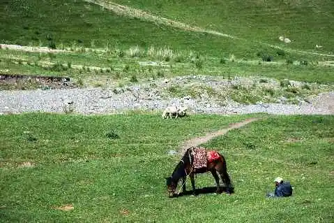 (北疆之六)南山牧场