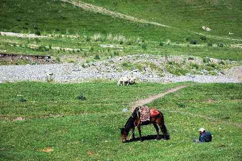 (北疆之六)南山牧场,图四