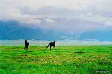 绝色新疆,色彩流淌的天堂,图二